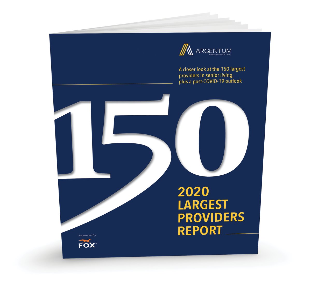 2020-largest-providers